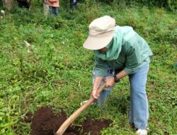 Luas Panen Padi dan Jagung di Jabar Meningkat Sepanjang 2025