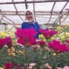Healing di Kebun Bunga Pasirlangu, Menemukan Ketulusan dari Mekarnya Bunga